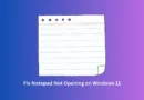 Fix Notepad Not Opening on Windows 11