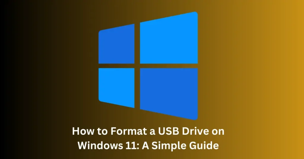 Format a USB Drive on Windows 11